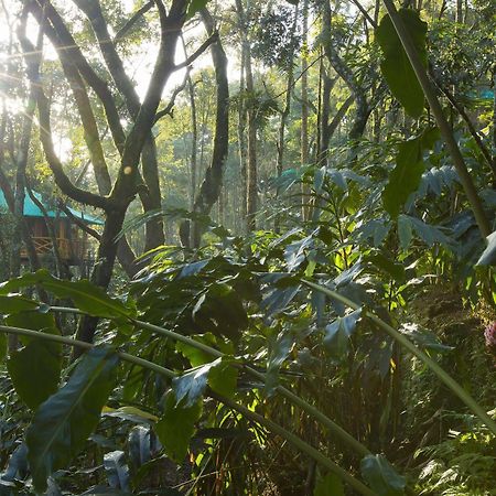 Dream Catcher Resort Munnar Exterior photo
